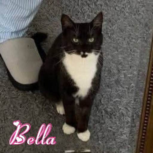 Bella